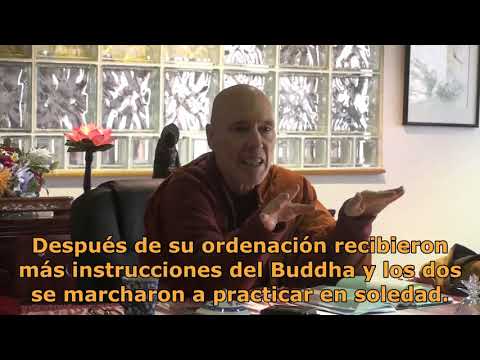 Anupada Sutta Parte 1 (M.N.111). El despertar de Sāriputta a través de los jhāna y la investigación.