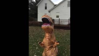 Kid in T-Rex costume chases dog | ORIGINAL