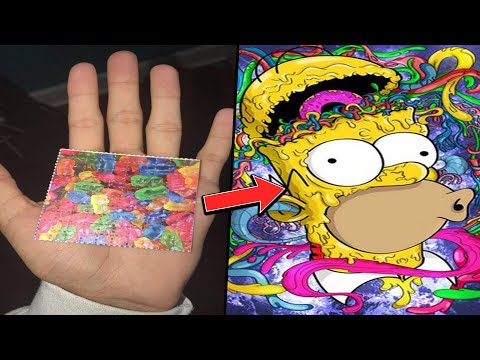 The Great Acid Adventure