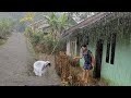 Super Heavy Rain And Strong Winds In My Village Sleep Instantly With The Sound Of Heavy Rain