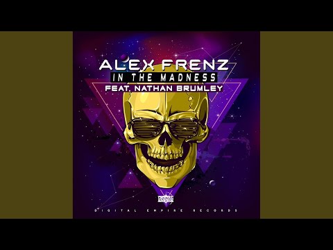 In The Madness (Original Mix)