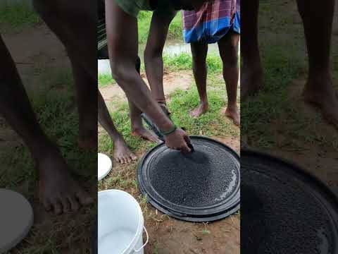 Powder vita gain - seaweed granuels - 25kg