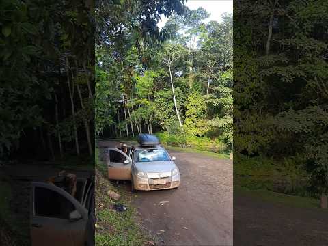 WILD CAMPING NA AMAZÔNIA