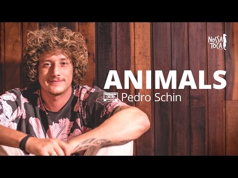アニマルズ - マルーン5（ペドロ・シン・ビートボックス・カバー (Animals - Maroon 5 (Pedro Schin beatbox cover))