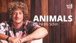 Animals - Maroon 5 (Pedro Schin beatbox cover) Nossa Toca