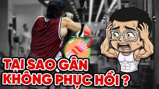 Tại Sao Gân của MAI QUANG HUY mãi Không Phục Hồi!? SmallGym