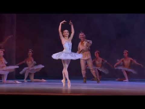 Iana Salenko  Dulcinea Variation Act 2