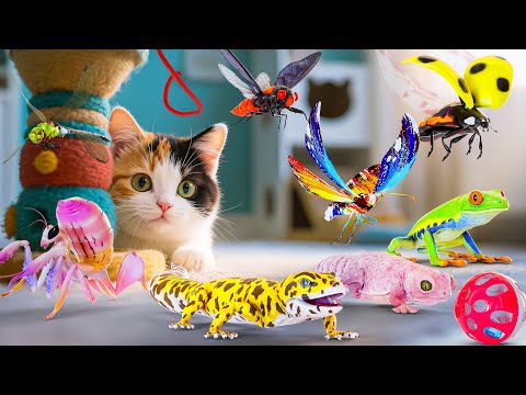 Ultimate CAT GAMES Compilation | 3D Game For Cats To Watch | CAT TV For Feline Friends 😻 4k 60FPS