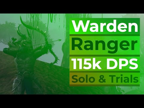 ESO Warden: Beginner Friendly Bow/Bow Build | No Mythic Required