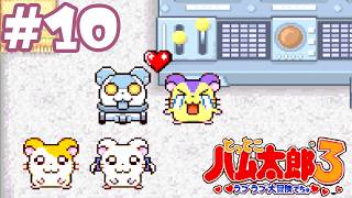 #10 初老男性、ゴミを処理する『とっとこハム太郎３ ラブラブ大冒険でちゅ』攻略実況プレイ