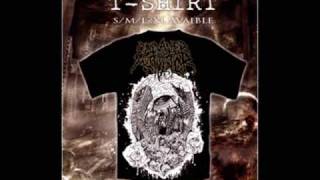 Cadaver Mutilator-Putrid Meat Walking (Nechronicles 2009)