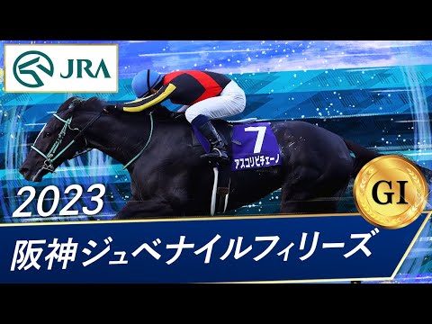 2023年 阪神ジュベナイルフィリーズ（GⅠ） | アスコリピチェーノ | JRA公式