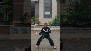 Download lagu jurus Pagar Nusa #mtsmmhtayu #pencaksilat #pagarnusa mp3 Download lagu jurus Pagar Nusa #mtsmmhtayu #pencaksilat #pagarnusa mp3