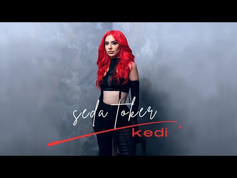 Seda Toker - Kedi