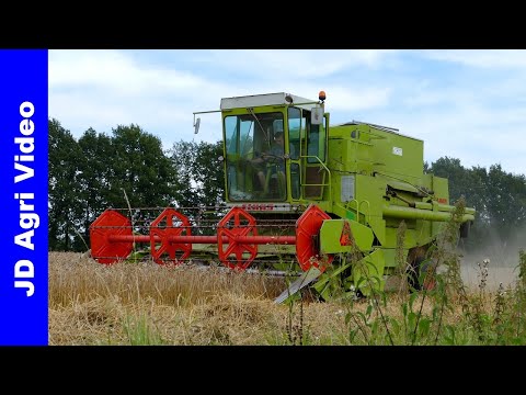Claas Dominator 85 + Fendt | Tarwe dorsen | Grain harvest | Getreideernte | P v/d Hardenberg Elspeet