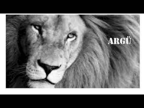 ARGÜ REMIX - LIAR -