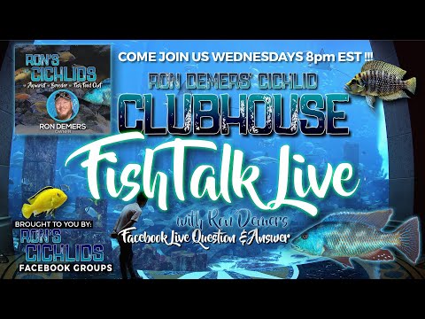 FishTalk Live  with Ron Demers- Episode #41 - DIY Drilling Your Tanks