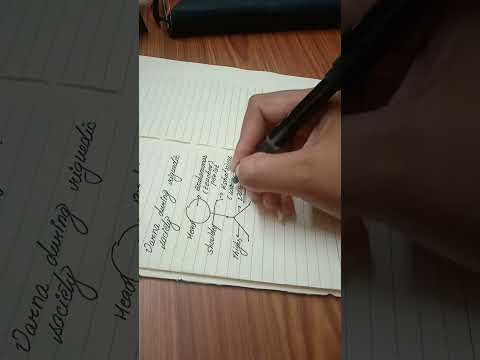 varna system in ancient india|varna system in india|ACE EXAM