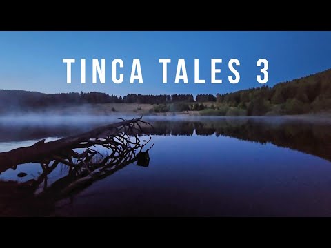 Tinca Tales 3 | Tench Fishing on the Feeder