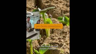 Download lagu Learn how you can make a meaningful contribution to the financial system as an #auditor. #audit #pwc mp3