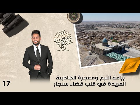فيديو | زراعة التبغ ومعجزة الجاذبية الفريدة في قلب قضاء سنجار - رحال م٦ - الحلقة ١٧