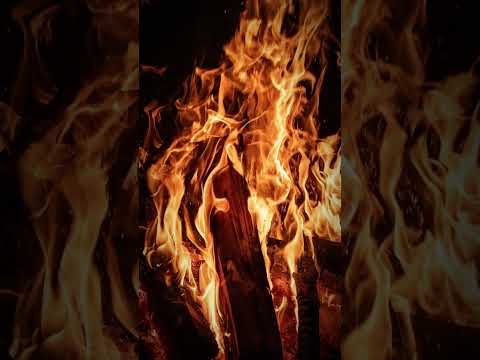 Zatím co se koupeš - Jaromír Nohavica - AI (Tropicália, Syncopated, Percussion, male vocals)