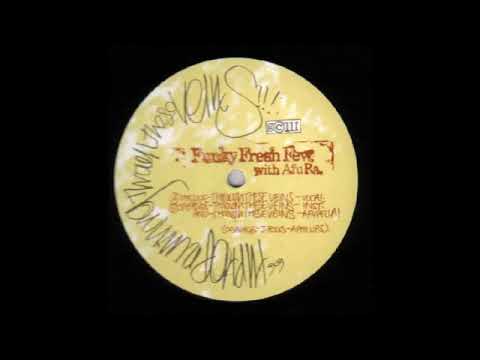 Funky Fresh Few & Afu Ra - Through These Viens