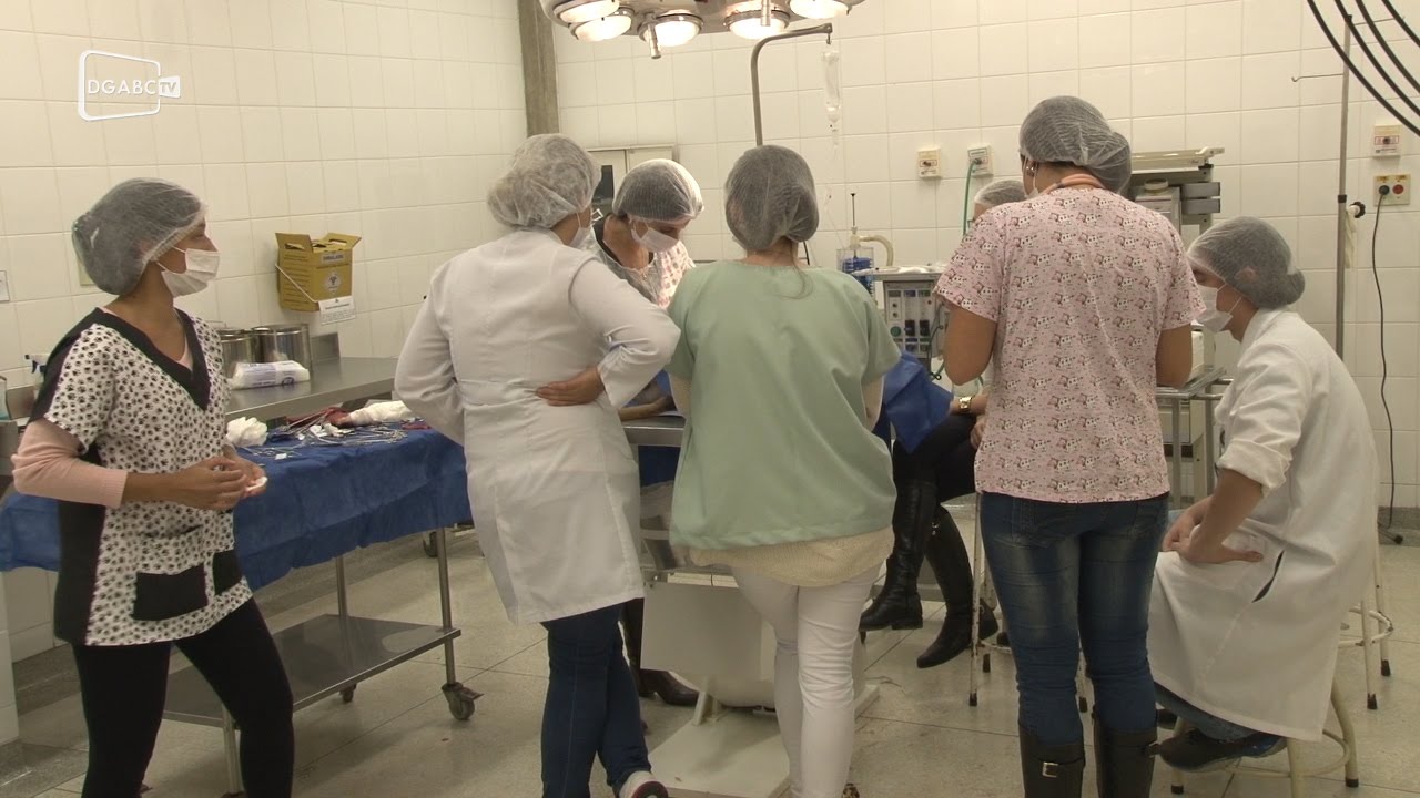Estagiários acompanham procedimentos de Hospital Veterinário ; veja vídeo