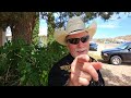 4th Of July 2024 Killer Bee Guy Is Live With Hosh And MedTek! [Livestream Replay]