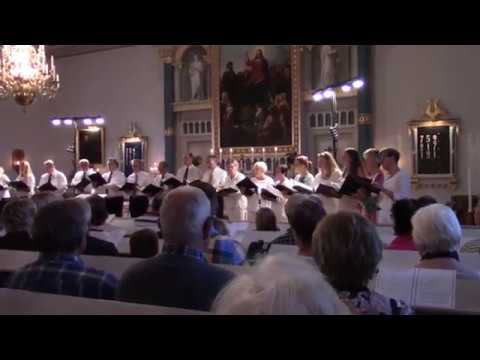 Stenbrohults kyrkokör 30 juni 2017
