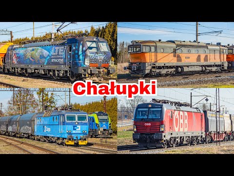 Pociągi w Chałupkach | 2025