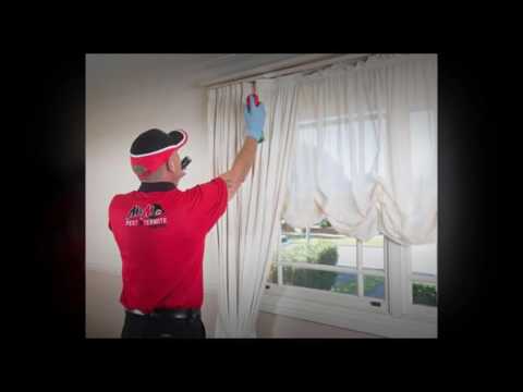 General Pest Control in Sydney, AU - Tips In Selecting A Pest Control Company