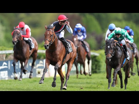 Krefeld: Dr. Busch-Memorial 2024 Sieger: Maigret