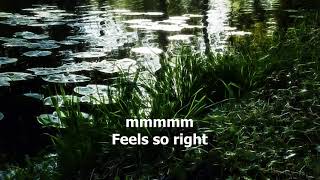 Feels So Right by Alabama - 1981 (with lyrics)