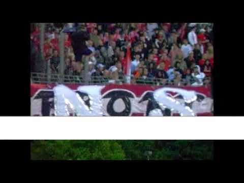Hallescher FC - ZFC Meuselwitz 24.08.2006