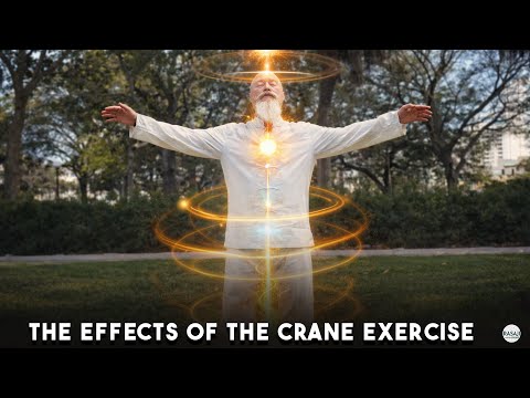 The Effects of the Crane Exercise