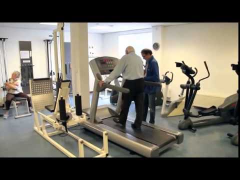 fysiotherapeut   De Meern Fysiotherapie Meerndijk