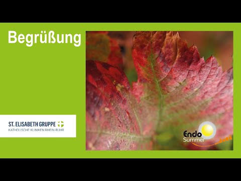 Endosummer 2021 – Neues aus Endoskopie und OP – Begrüßung