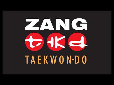Zang TKD Online VR Course