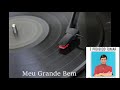 Meu Grande Bem Roberto Carlos