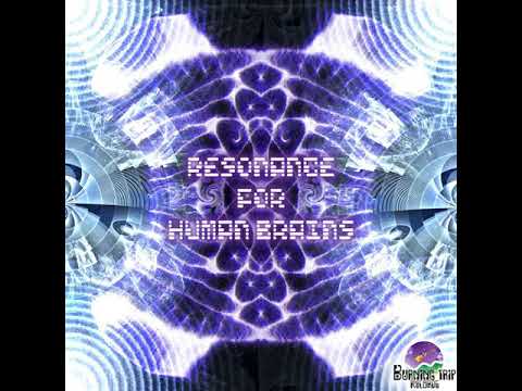 11 Ape Rape - Auton Mission