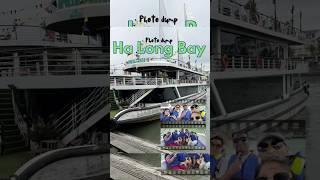 Ha long bay cruise experience #shorts #minivlog #halongbay #halongbaycruise #cruise #comeaboard #yt