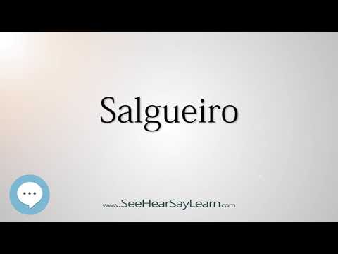 Salgueiro (How to Pronounce Cities of the World)💬⭐🌍✅