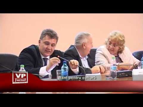 Bani pentru cultura