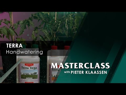 Masterclass – TERRA Handwatering