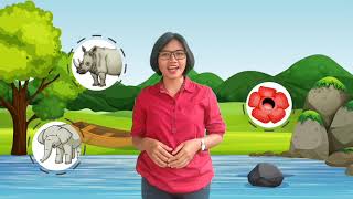 Download lagu Materi Pembelajaran IPA kelas 6 ( Hewan dan tumbuhan langka di Indonesia serta cara pelestarian nya) mp3 Download lagu Materi Pembelajaran IPA kelas 6 ( Hewan dan tumbuhan langka di Indonesia serta cara pelestarian nya) mp3