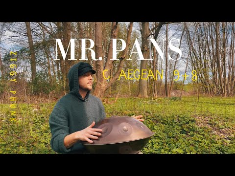 MrPans handpan - C Aegean 9+8 - Ziggy Phunk