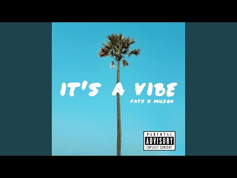 It's a Vibe