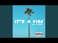 It S A Vibe