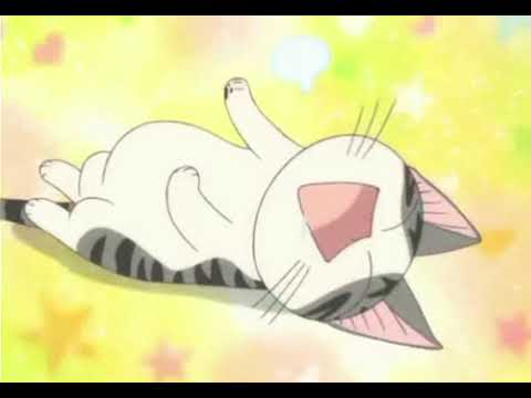 Chi's Sweet Home Ouchi ga Ichiban Satomi Koorogi